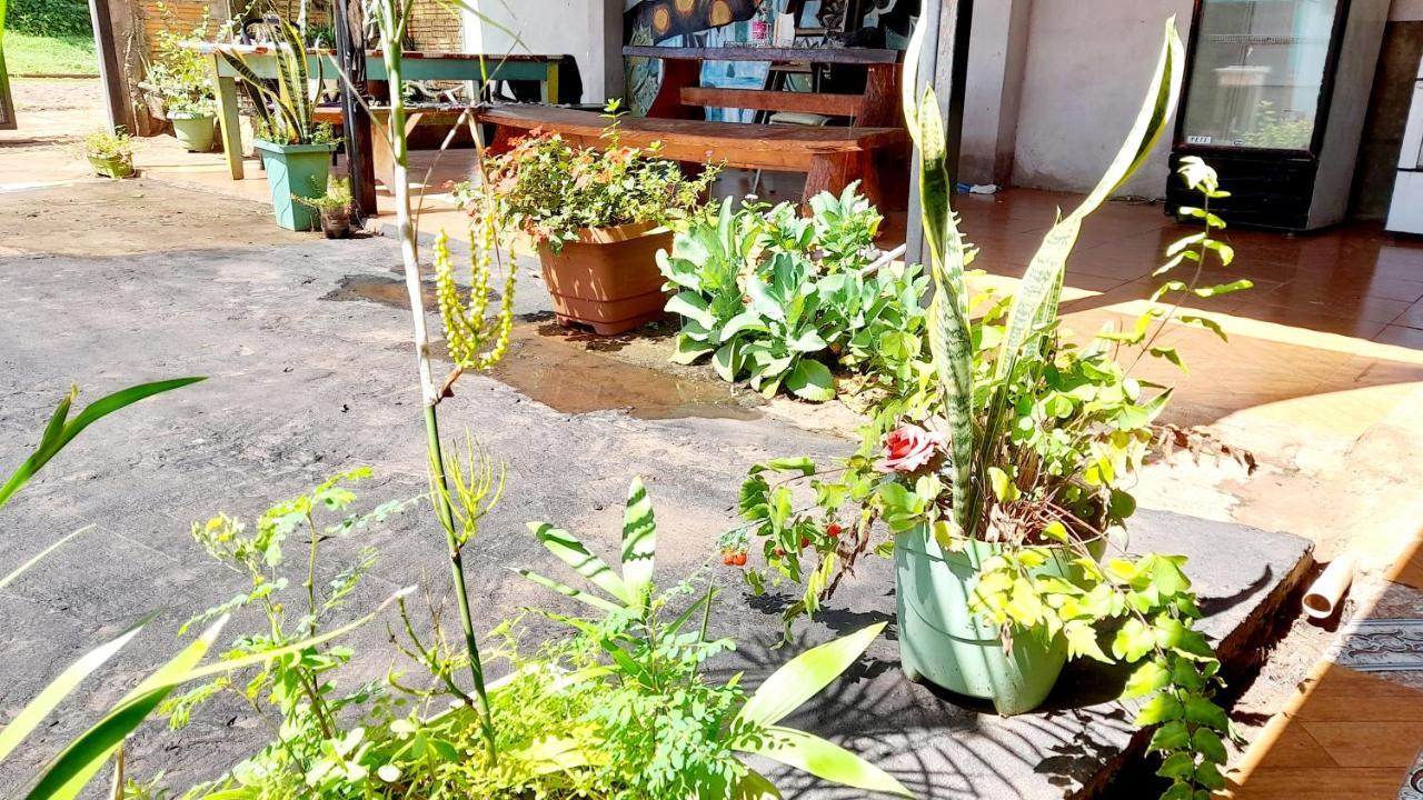 Hostal Sol Iguazu Пуерто-Іґуасу Екстер'єр фото